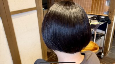 カラーファンタジー107　レプロナイザー107 還元美養　りずむヘアデザイン　髪と地肌のクレンジング　バイオプログラミング　