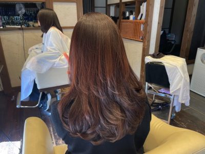 カラーファンタジー107　レプロナイザー107Dplus　ヘアビューロン107Dplus 還元美養　りずむヘアデザイン　髪と地肌のクレンジング　バイオプログラミング　プラチナプログラミング　アルバージュ　